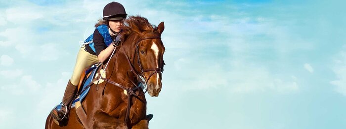 66289_Reitschule_header_1920x1080.jpg